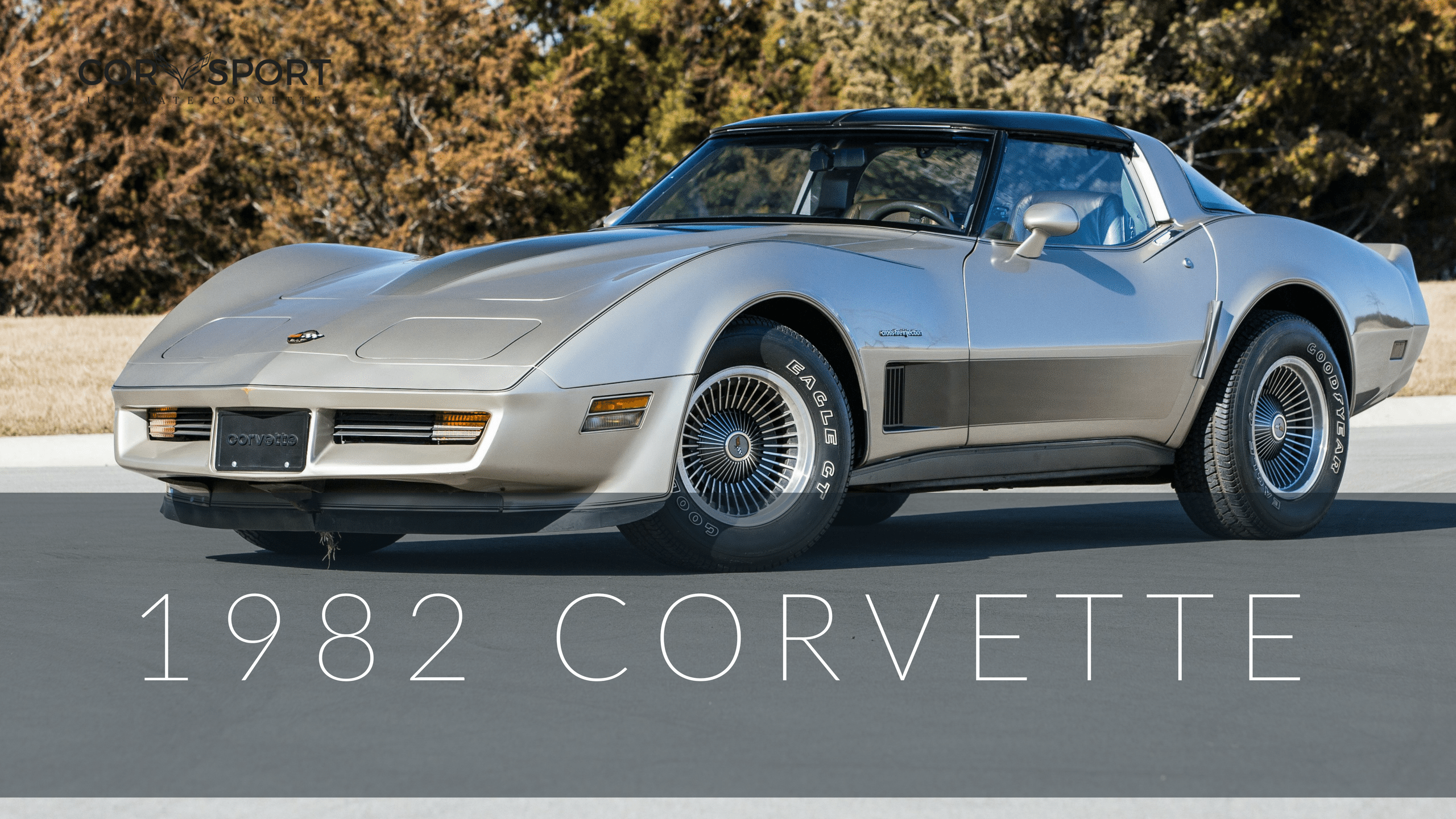 1978 corvette corvette owners manual download