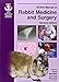 bsava manual of small animal cardiorespiratory medicine and surgery