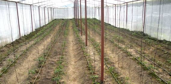 shade structure agriculture design manual